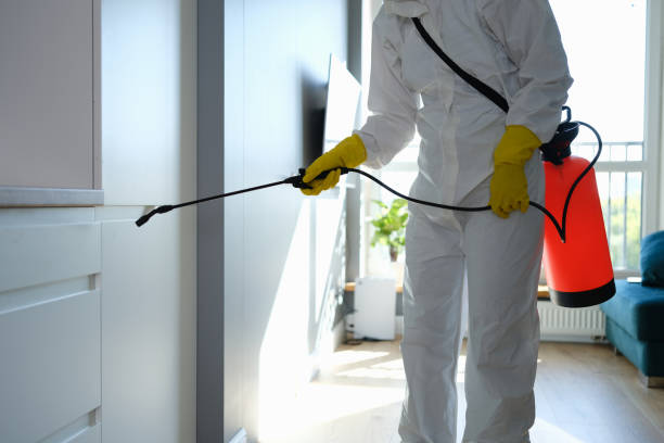 Best Mold Removal Specialists  in USA